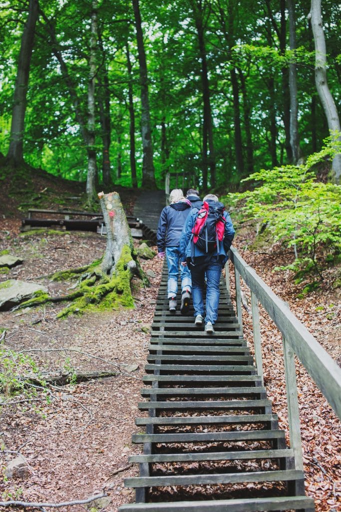 Söderåsen trappa