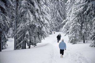 Kleinwalsertal njuts bäst på längdskidor, men det är också möjligt att ta en promenad i skogen
