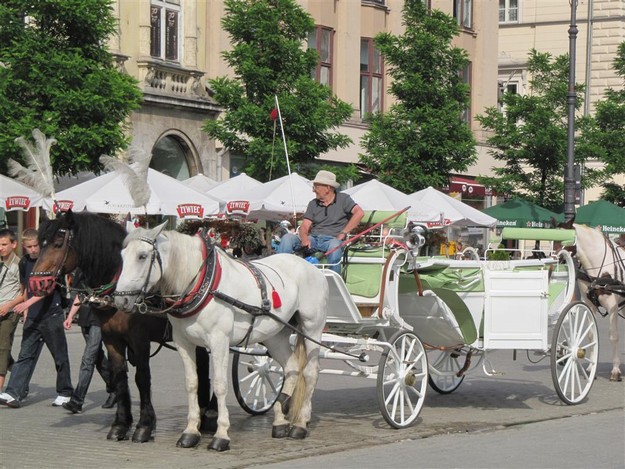 Upplev Krakow från häst och vagn