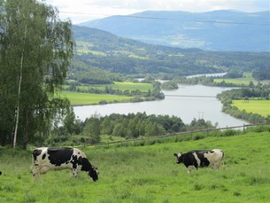 Utsikt över Gudbrandsdalen