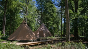 Camp Oak, tältbyn mitt i Skånes Djurpark.