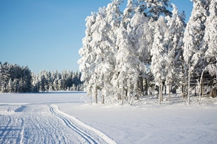 Snart är det gnistrande längdspår i Orsa.