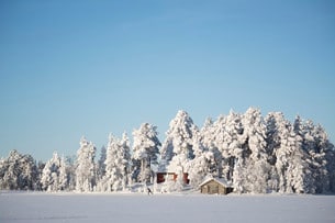 - Med den här appen kan alla våra skidåkare få en överblick över aktuell spårstatus, säger Mari Tara.