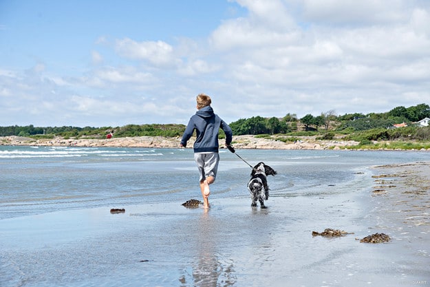 En löptur på stranden en tidig morgon eller på kvällskvisten är bra träning för både dig och hunden.