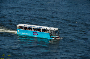 Bröderna Paul och Max Ekwall reste till tillverkaren i South Carolina och gjorde en beställning på en Oceanbus.