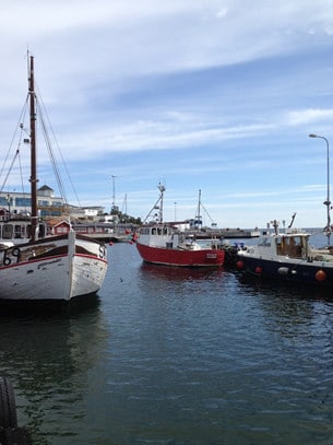 Fiskebåtarna i hamnen.