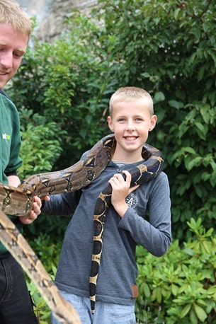 Glad Zoo är ett gemytligt litet zoo som jobbar med att bevara utrotningshotade arter. 