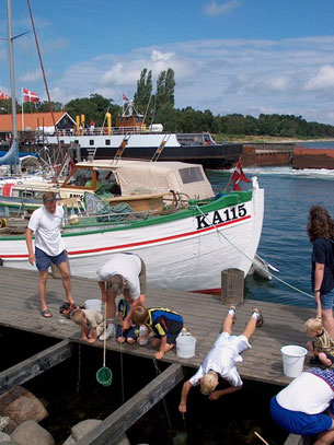 Det är alltid stor aktivitet vid hamnen, där både barn och vuxna lätt kan få tiden att gå.