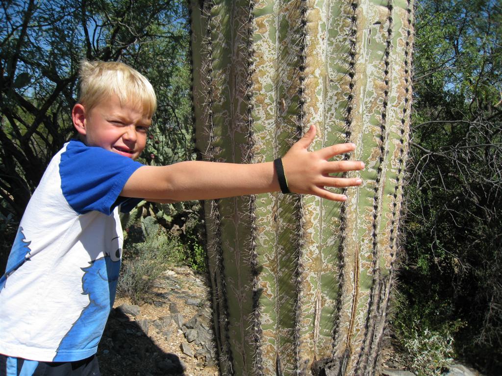 Här försöker Mathias att nå runt en Saguaro kaktus