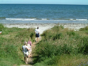 Campingpladsen ligger lige ned til den børnevenlige strand.