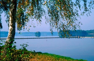 Campingen ligger vackert i anslutning till Tydingesjön.