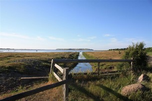 På flera ställen i området kan man uppleva den oberörda naturen