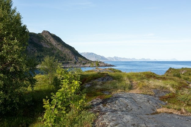 Vy från Moskenes camping. 