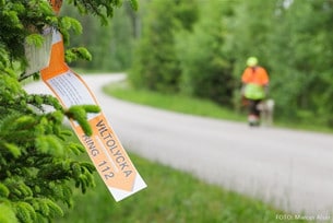 Använd viltolycksremsan vid olycka.