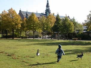 Djurgården är ett bra ställe att parkera husbilen på och sträcka på benen