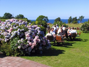 I Flickorna Lundgrens trädgård njuter folk av kaffe och prinsesstårta.