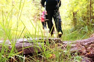 På Swecamps anläggningar finns många vandringsleder att nyttja. 