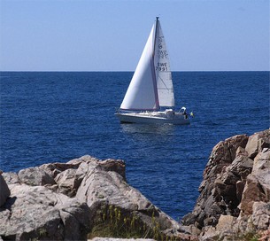Vid Kullabergs kuster kan klipporna vara upp till 65 meter över havet.