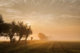 Skåne bjuder på öppna landskap.
