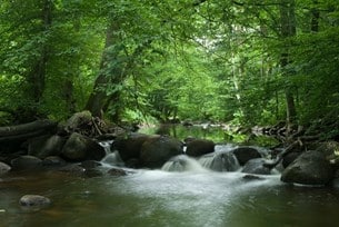Naturskönt kring Christinehof.