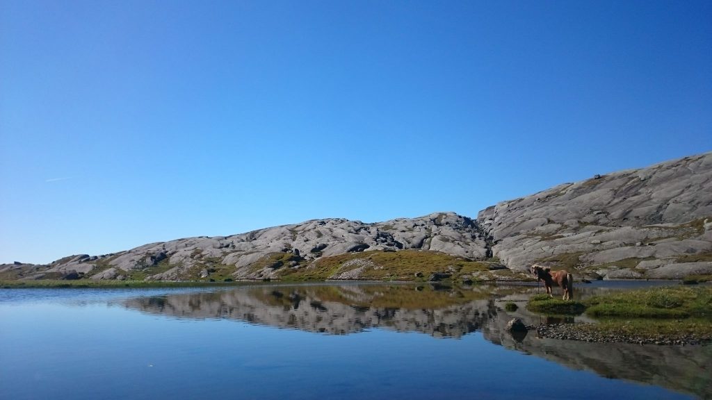 Spegelblanka Jormsjön. 
