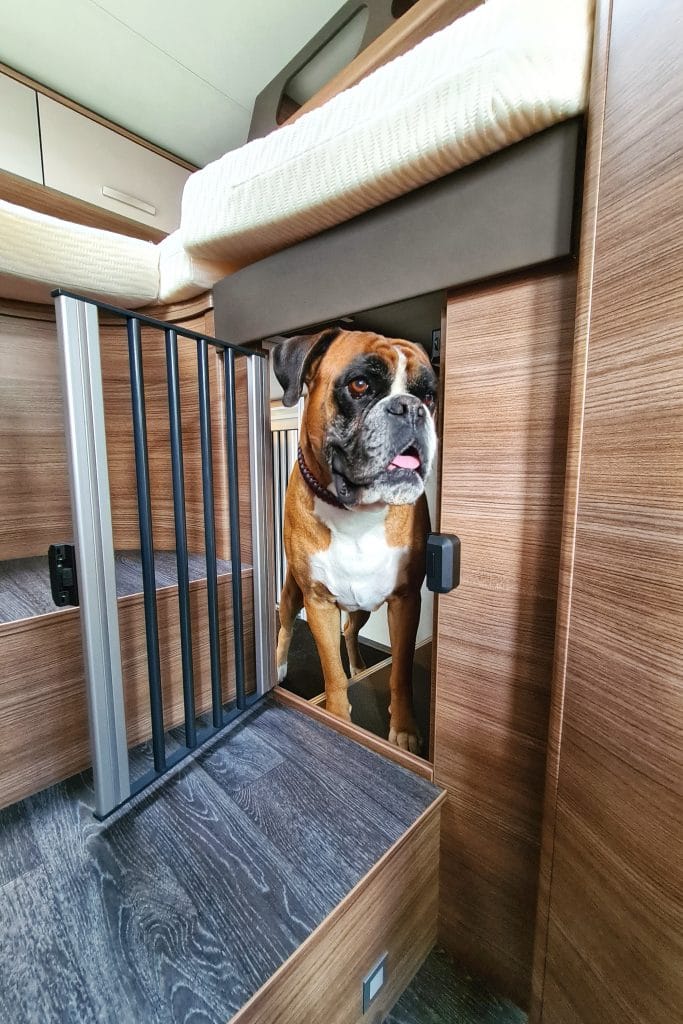 Lucky Dog Camper är ett nytt tillval som ger hunder ett eget boende. 