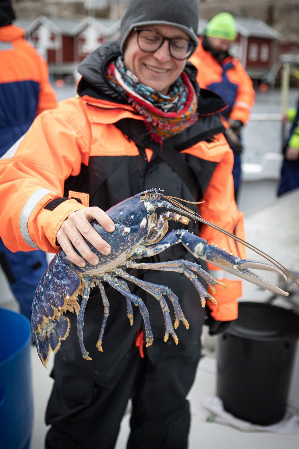 Bohuslän: Hummerfiske i Smögen - CampingSverige.se