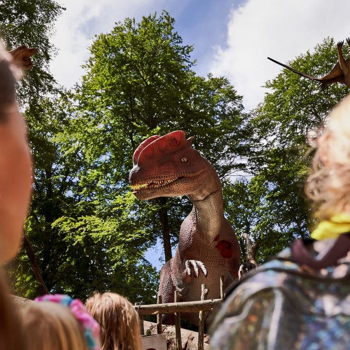 Dinosaurier Skånes Djurpark