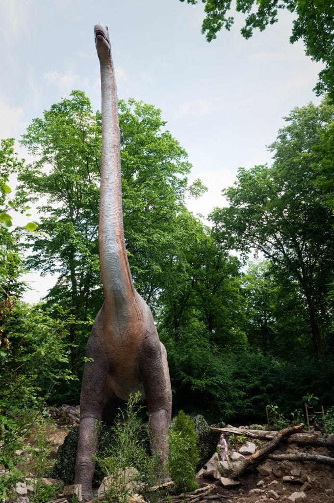 Brachiosaurus